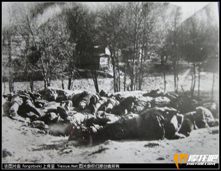 11-高台血战后被敌人集中残杀的西路军被俘将士遗体.jpg