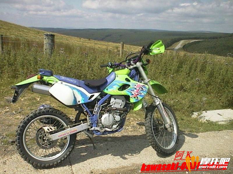 1994 Kawasaki KLX 25052.jpg