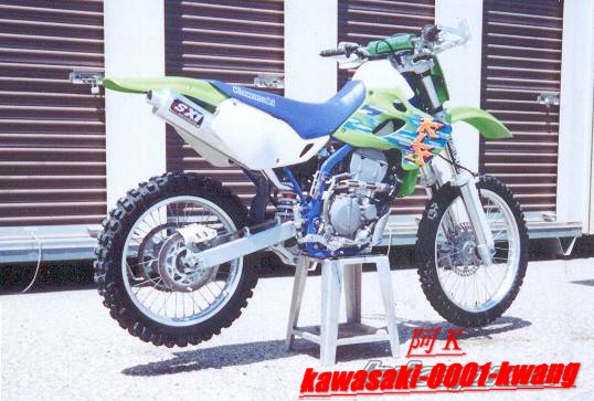 1995 Kawasaki KLX 25016.jpg