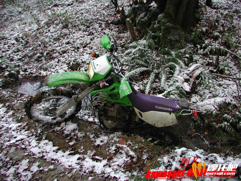 1996 Kawasaki KLX 25081.jpg