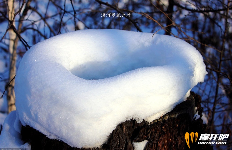 雪蘑菇.jpg