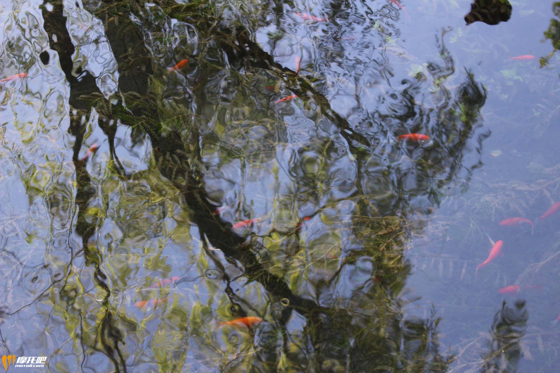 水磨沟