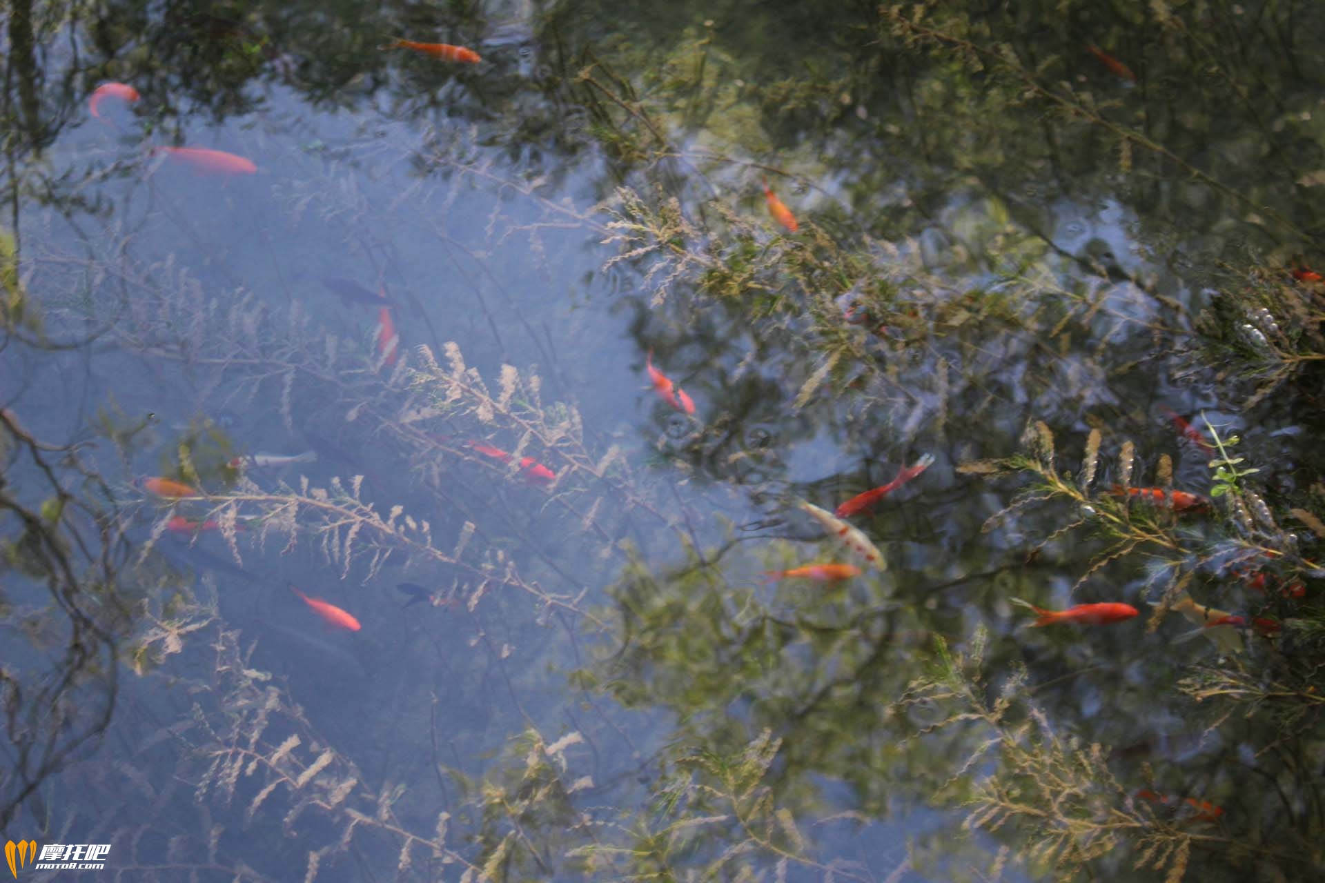 水磨沟