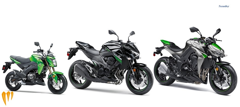 Kawasaki-Z-Family.jpg