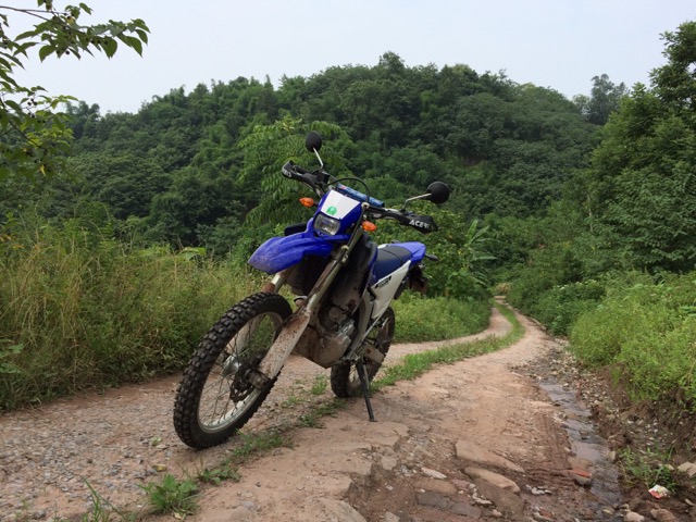 wr250r