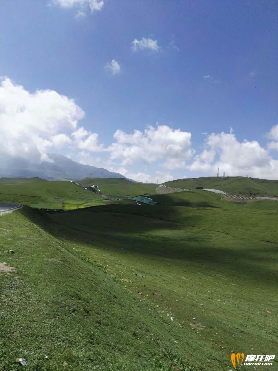 美丽的草原