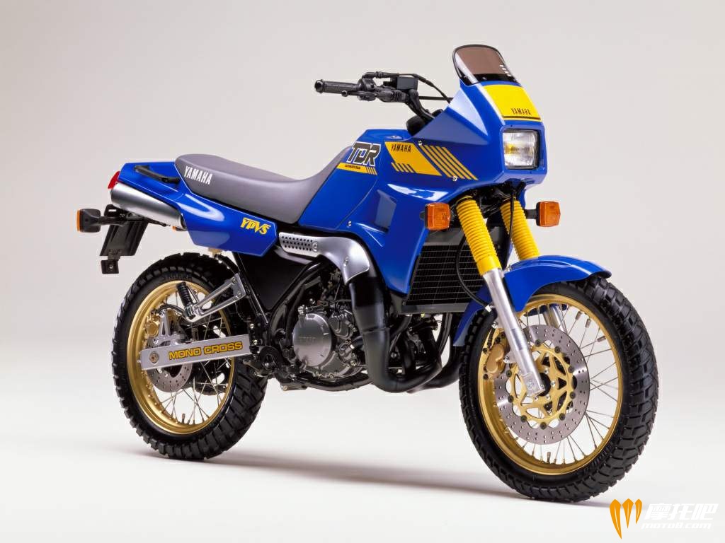 Yamaha TDR250 88.jpg