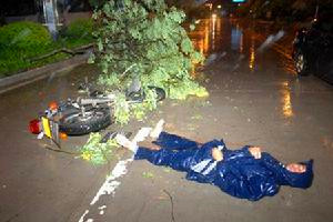 2007年18日晚6时50分许，惠安中山南街，台风刮到路边一棵树，把一骑摩托车路过的男子.jpg