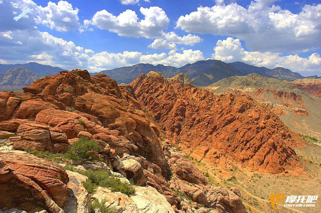 Calico_basin_red_rock_cumulus_mediocris.jpg