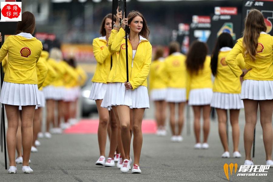 F1_Belgium_Grid_Girls_2013_7269581.jpg