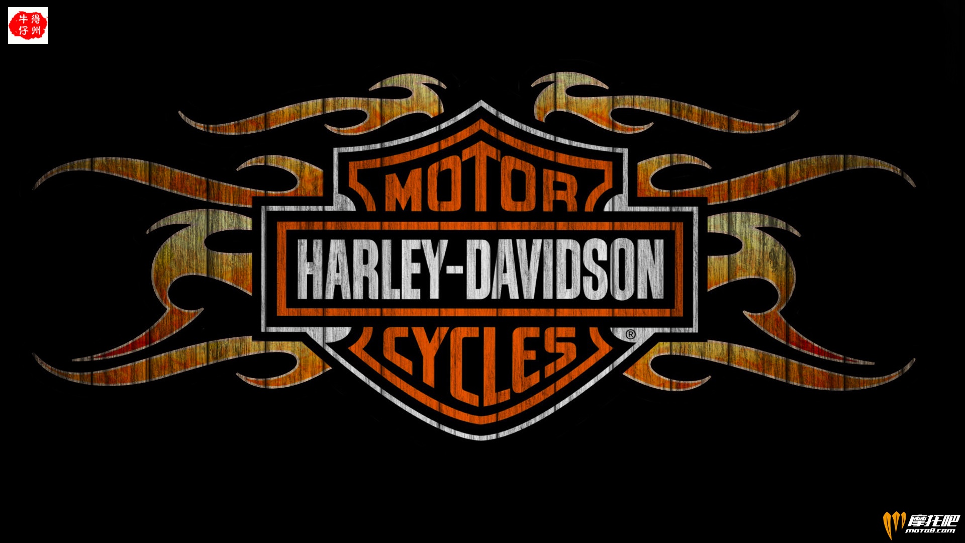 Harley-Davidson-Motorcycles.jpg