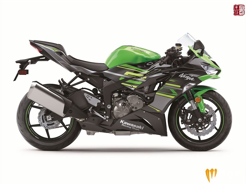 101118-2019-kawasaki-ninja-zx-6r-zx636-G_201GN1DRS3CG_A.jpg