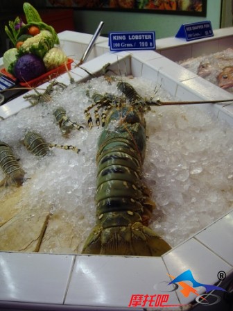 超级龙虾长60cm.jpg