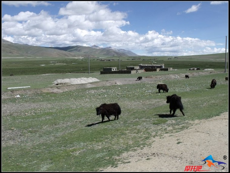 西藏之旅照片 669.jpg