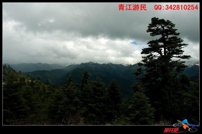 青江游民2010 (24).jpg