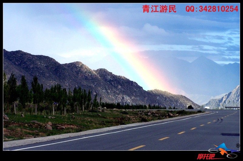 青江游民2010 (43).jpg