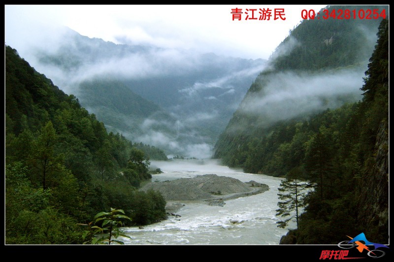 青江游民2010 (50).jpg