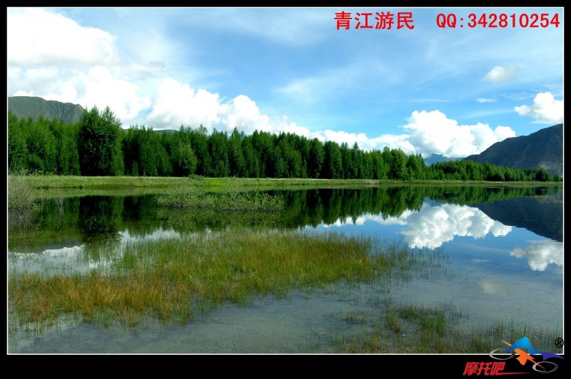 青江游民2010 (68).jpg