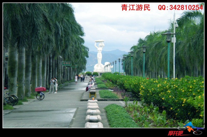 青江游民2010 (85).jpg