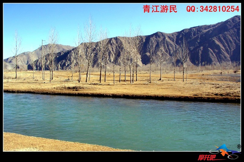 青江游民2010 (125).jpg