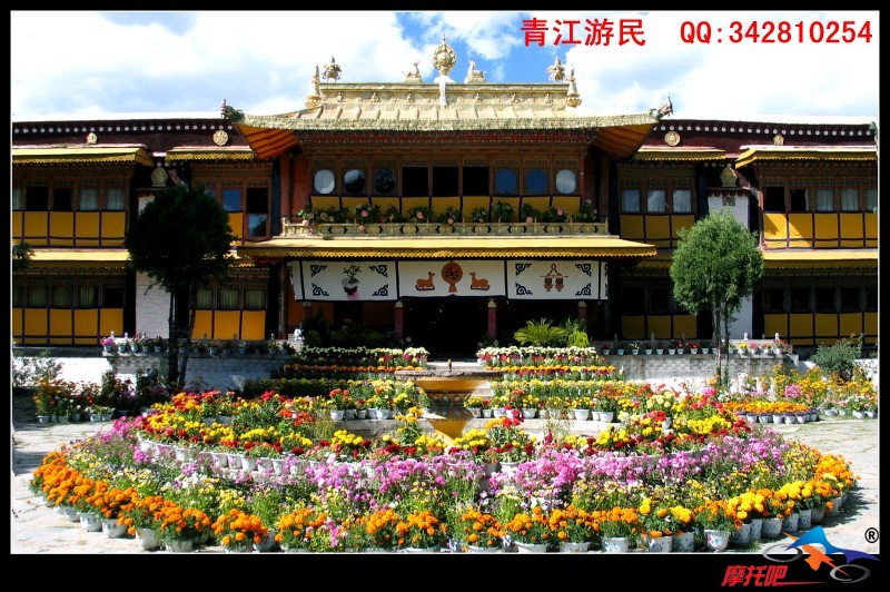 青江游民2010 (162).jpg