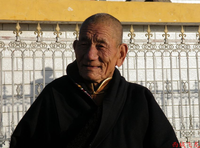 慈祥的藏族老人